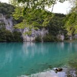 なぜ世界遺産？プリトヴィツェ湖群国立公園の本当の価値｜地質・歴史・生態系の3つの視点から徹底解説