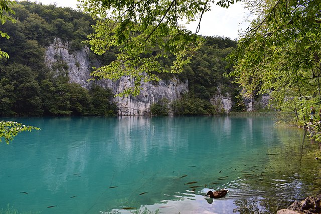 なぜ世界遺産？プリトヴィツェ湖群国立公園の本当の価値｜地質・歴史・生態系の3つの視点から徹底解説