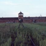 アウシュヴィッツ・ビルケナウの全て｜「負の遺産」の歴史から見学・観光の知識まで徹底解説